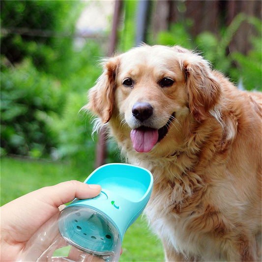 Portable Pet Water Bottle – Hydration On-the-Go for Your Furry Friend